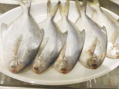 -鲜得莱渔港·小平岛海胆馆(七贤岭店)