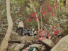 -阳台山森林公园