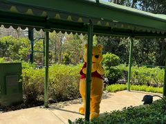 -小熊维尼历险之旅