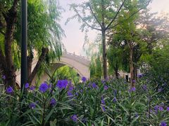 -三林塘老街