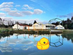 -前小桔亲子创意农场·草莓采摘·露营烧烤