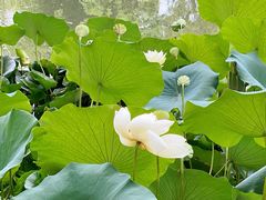 -北京动物园-畅观楼