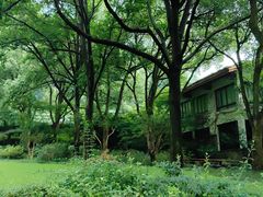 -中国茶叶博物馆(双峰馆区)