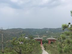 -五龙城郊森林公园