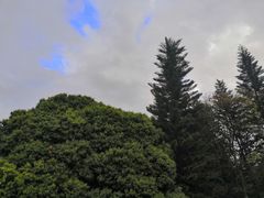 -荔香公园