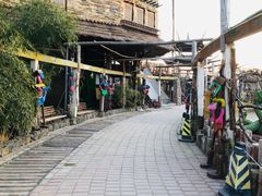 -呀路古热带植物园
