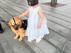 -迪士尼小镇