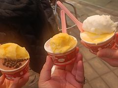 -红楼HONGLOU Gelato(淮海中路店)