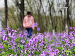 -白塘生态植物园