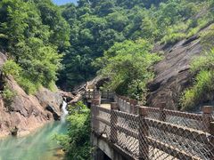 -广州白江湖森林公园