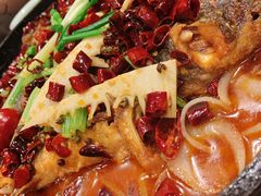 -老板恋上鱼(高新万达店)