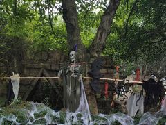 -南湖梦幻岛