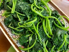 -聂记粤菜馆(鼓西路店)
