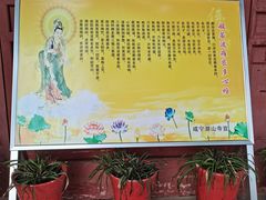 -潜山国家森林公园