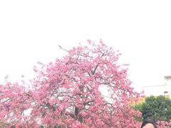 -广州花之恋城堡酒店