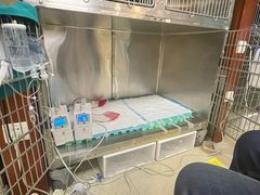 -美联众合动物医院·24h转诊中心