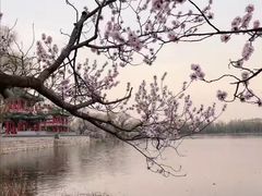 -颐和园
