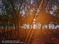 -大兴滨河森林公园