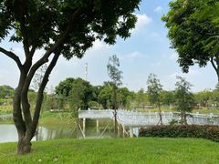 -王借岗森林公园
