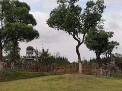 -上海长兴岛郊野公园