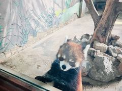 -济南野生动物世界