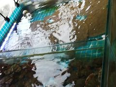 -渡海小渔村.老辈日照菜