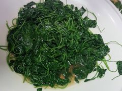 -宝燕壹号(徐汇店)