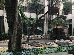 -白虎自助餐厅·真老虎·景观自助餐厅(广州长隆酒店)