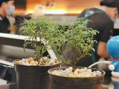 -萃茶师(琅西店)