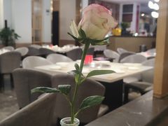 -芭夯兔·兔肉汤锅(新都店)