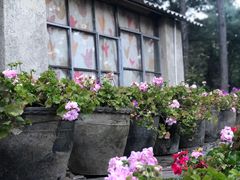 -寂照庵