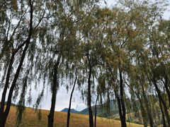 -玉渡山自然风景区