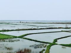 -滨湖塘西河公园