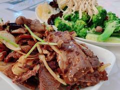 特色牛肉-凤来仙大冷面(八一里店)