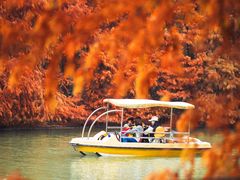 -上海海湾国家森林公园