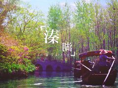 -溱湖国家湿地公园