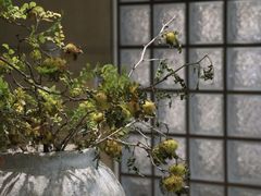 -福田卓悦INTOWN购物中心