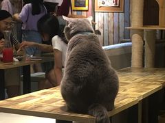 -小时光咖啡馆(开森度假森林店)