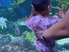 -华夏文旅海洋公园