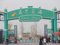 -荷兰花海