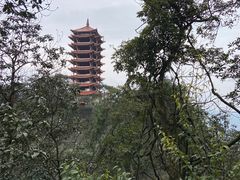 -缙云山景区