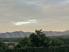 -莲峰云海景区