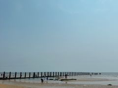 -日照海滨国家森林公园
