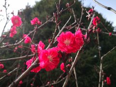 -秦始皇帝陵博物院-丽山园