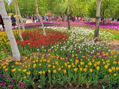 -长春公园(普阳街道)