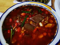 -叒缘夜光杯(望江橡树林店)