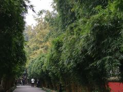 -成都武侯祠博物馆