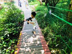 -杭州少年儿童公园