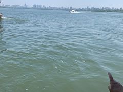 -西湖游船
