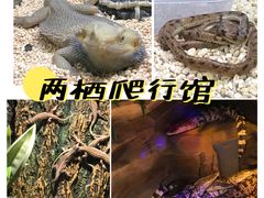 -无锡动物园·太湖欢乐园